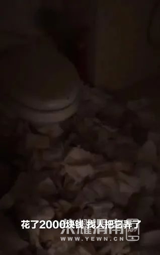 115827x422622hn288nc3e.jpeg