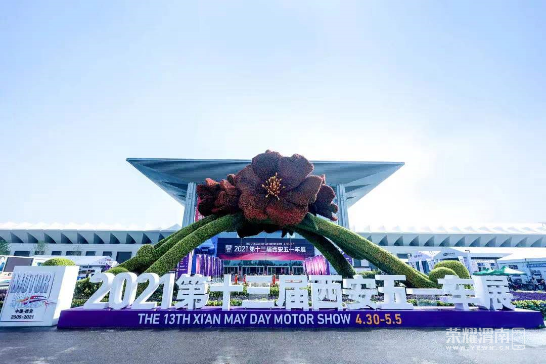 150542c08ez8ke7jj7tp79.png
