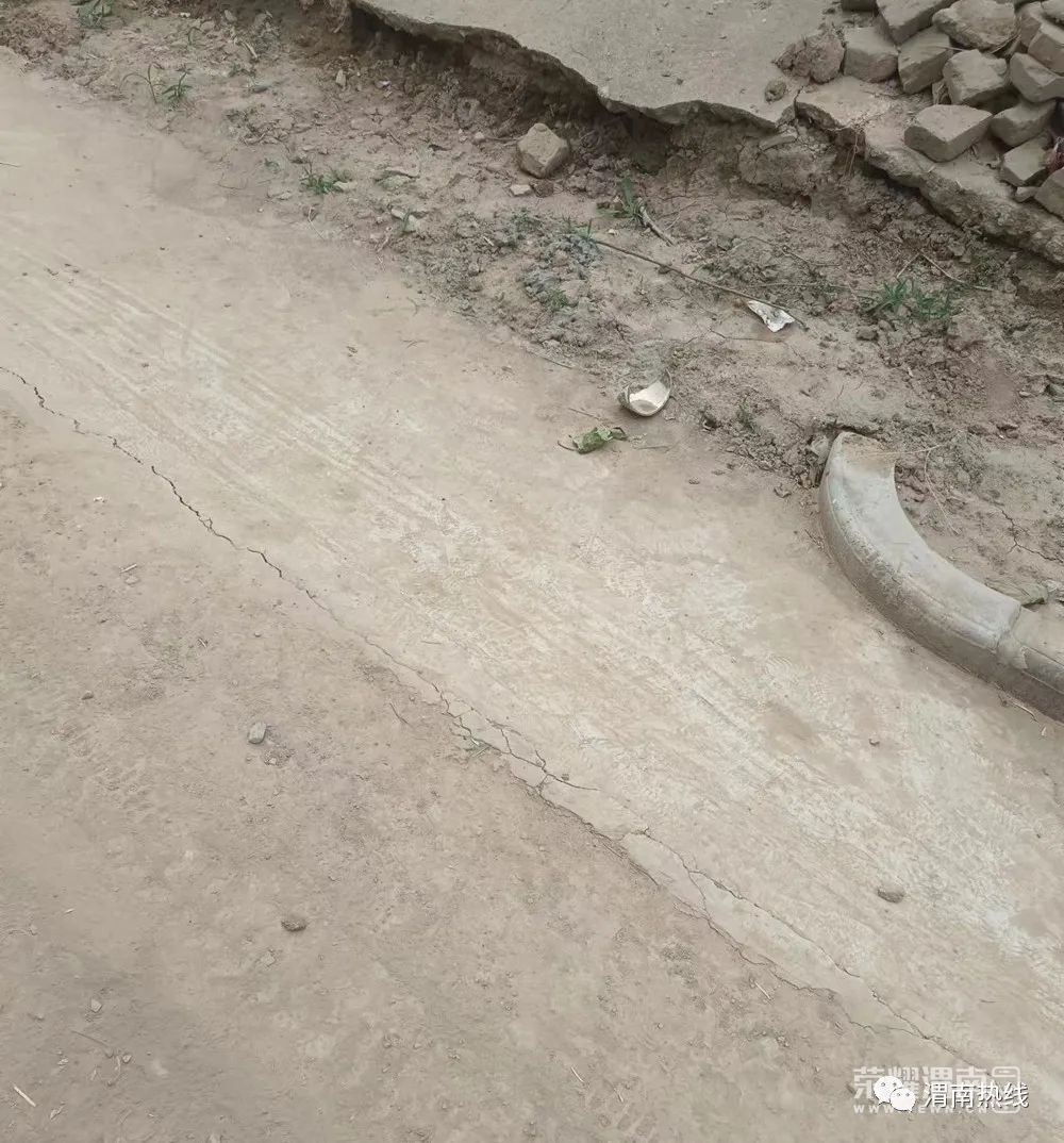 101014zk8bnzjxfn8d2rpz.jpeg