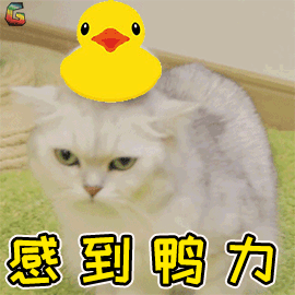 172018vcjsx05jiixjsc2t.gif