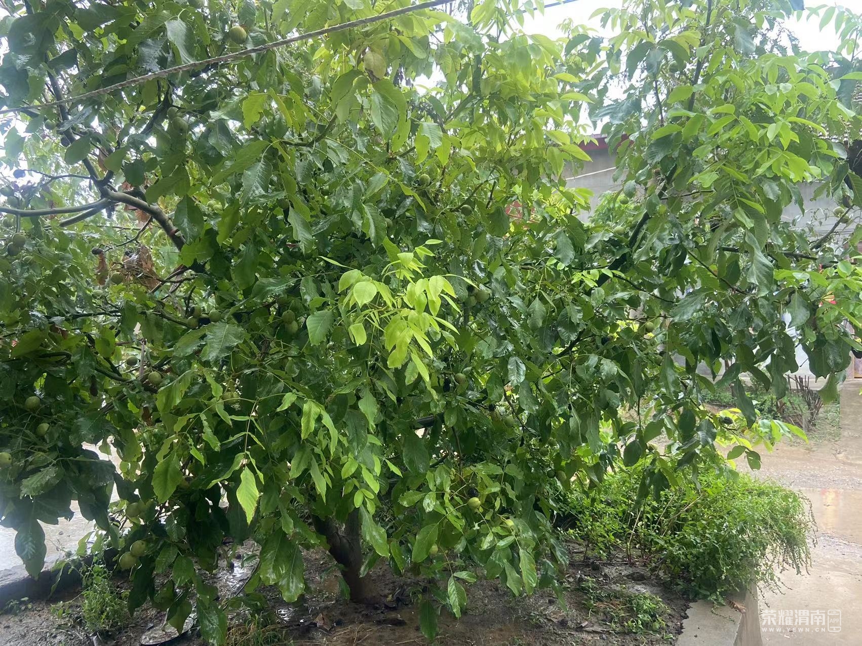 ΢��ͼƬ_20220828115221.jpg
