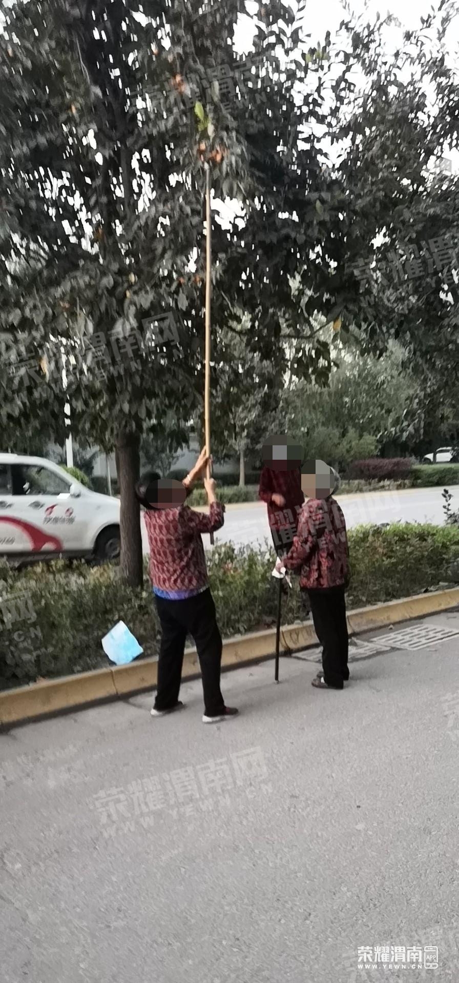 555.jpg