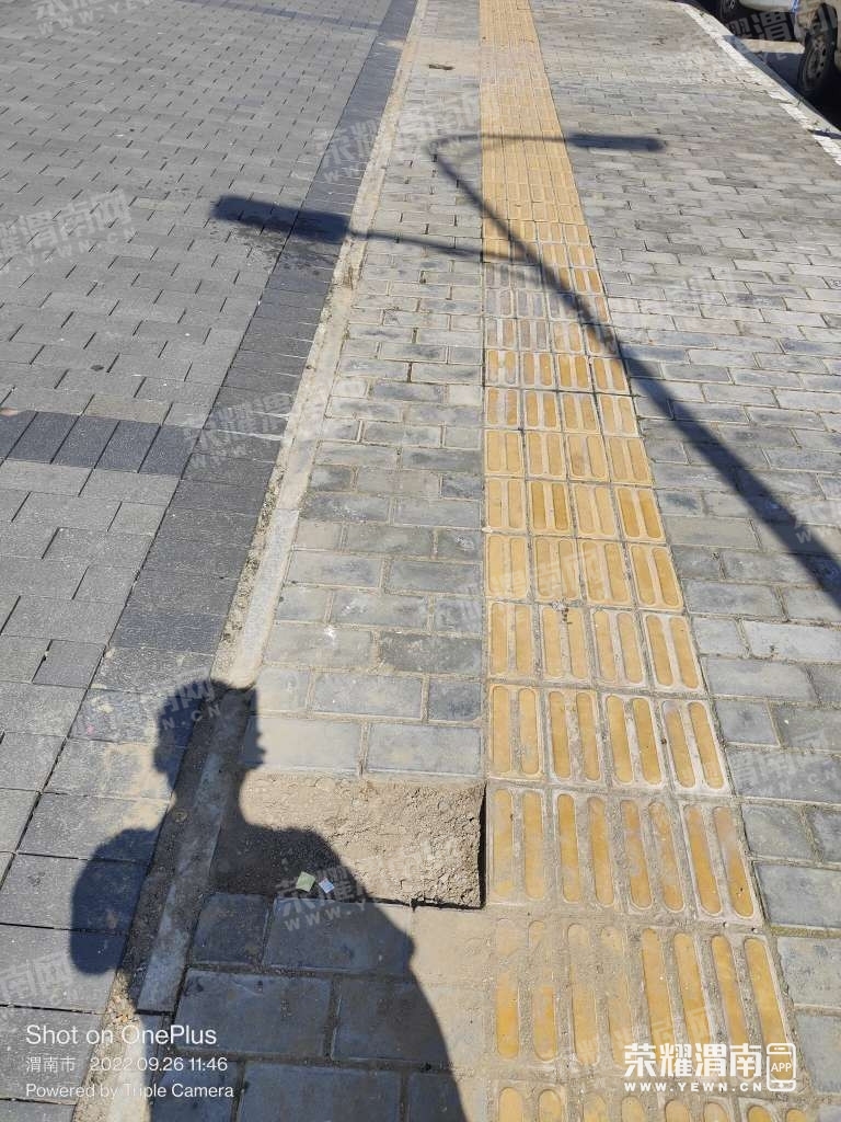 120346rzhygr000579lsao.jpg