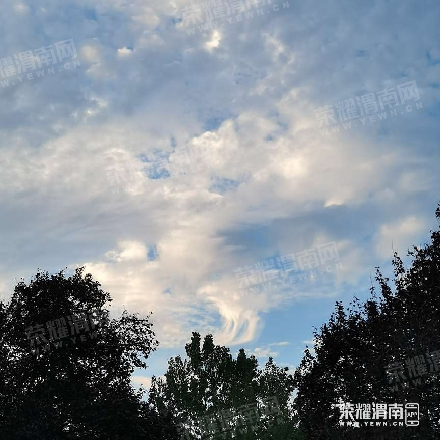 181253os9mzn1ynj8mmfow.jpg