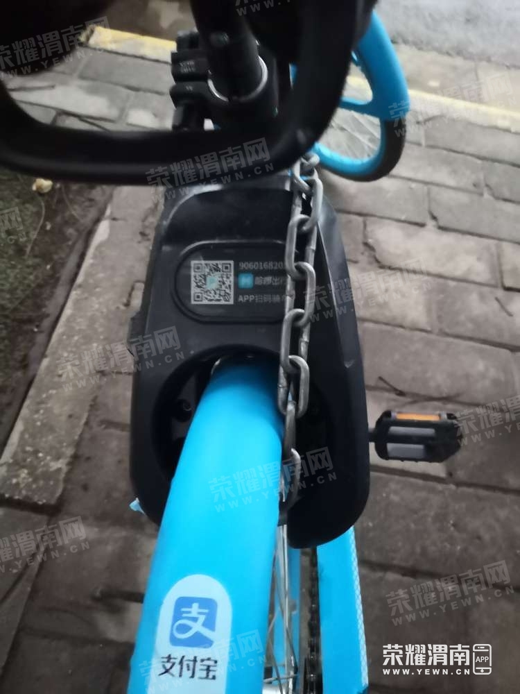 133031bb8b98zynbdly98n.jpg