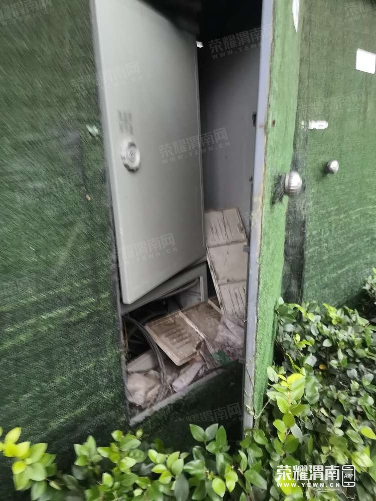 065738msnjg3vn8vcpjgz0.jpg