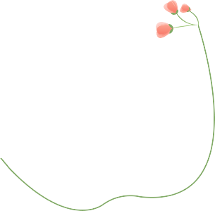 102521aylmmzwyd6jyeuma.png