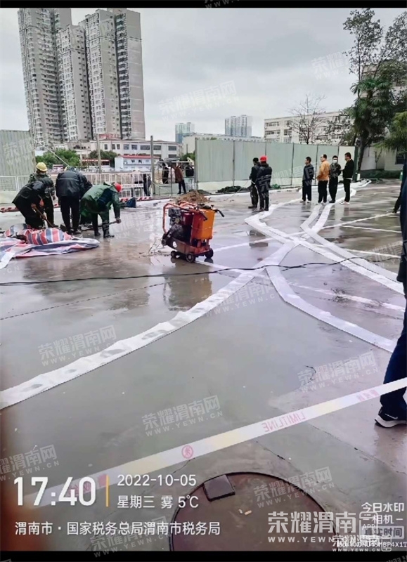 203.jpg