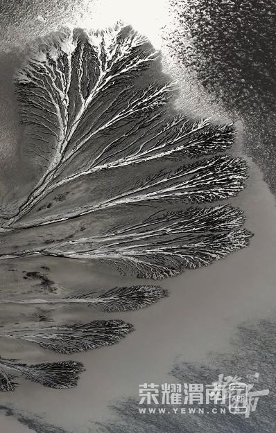 ���� (11).jpg