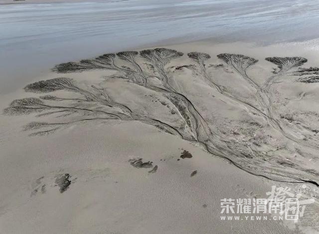 ���� (12).jpg