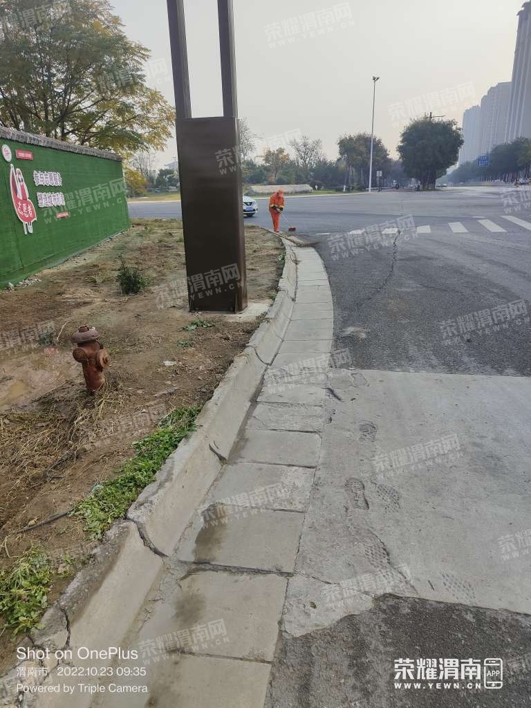 42.jpg