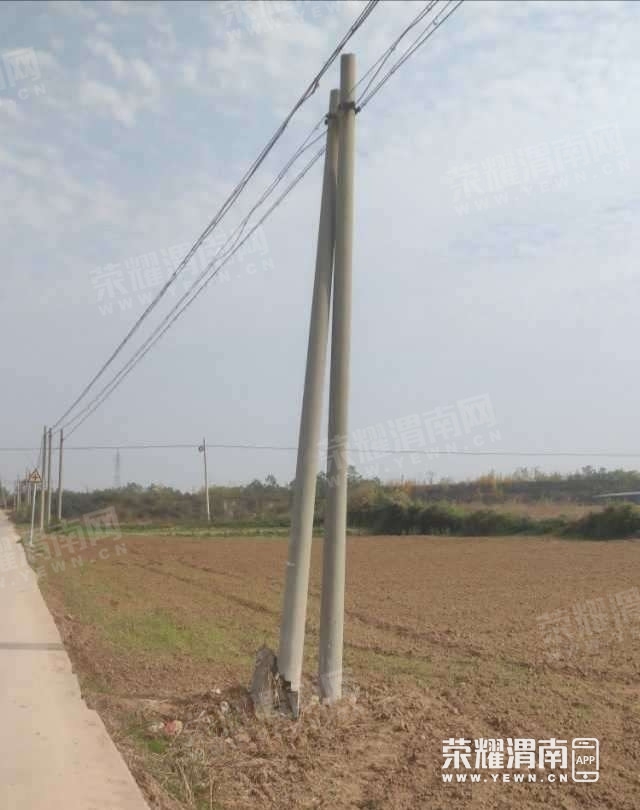 113225mghhd9b7ps6zh1dm.jpg