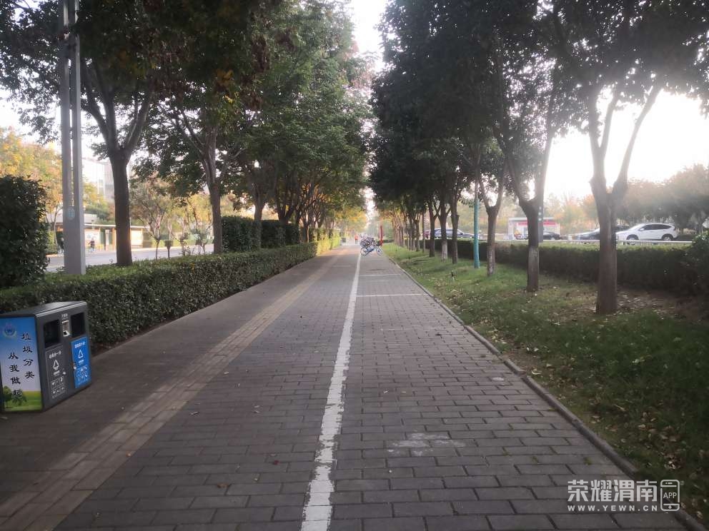 20221024213154front2_0_226533_Fptip_a4g92ph98GEhQvFoBa_yF5.jpg