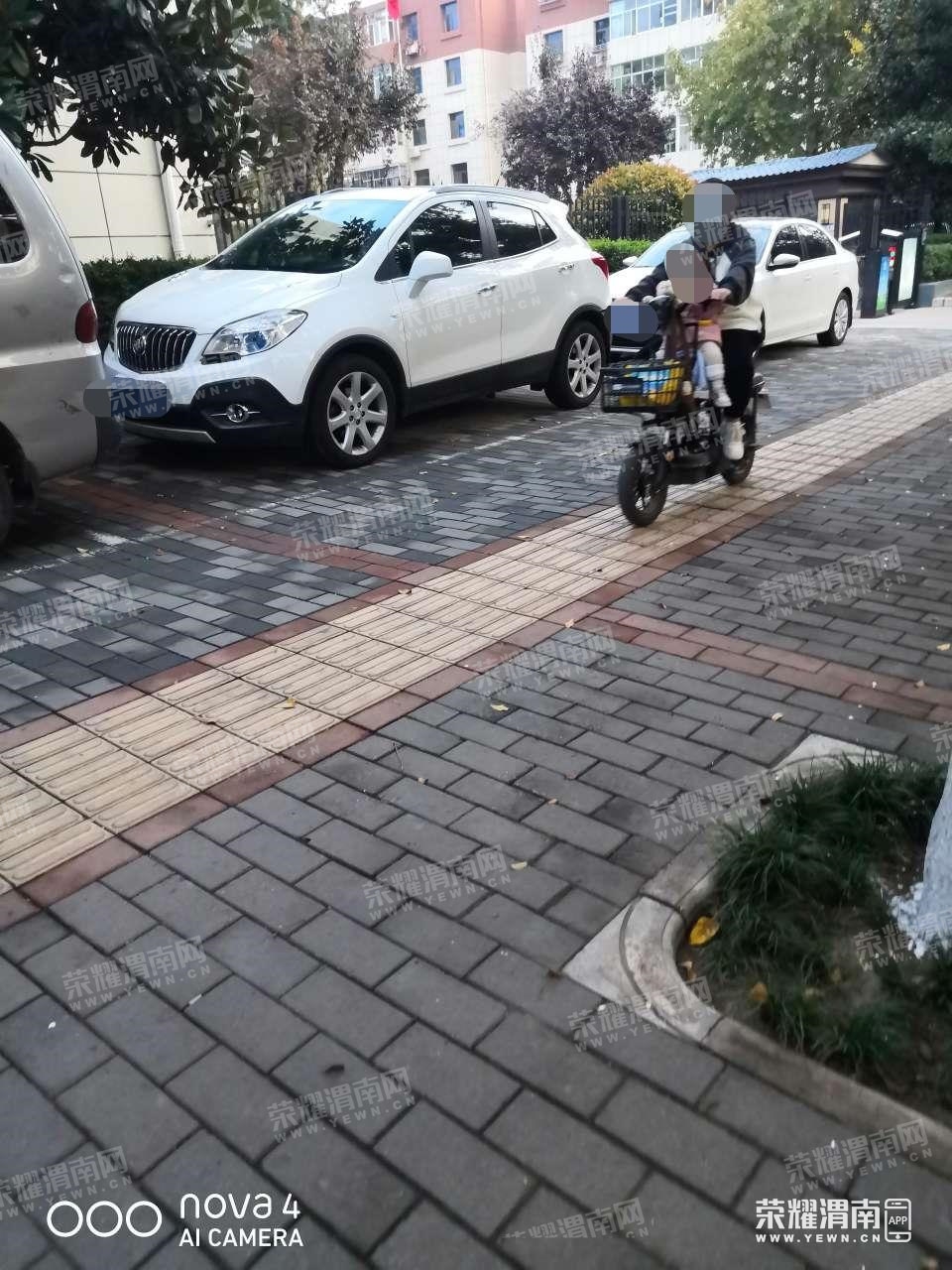 103.jpg