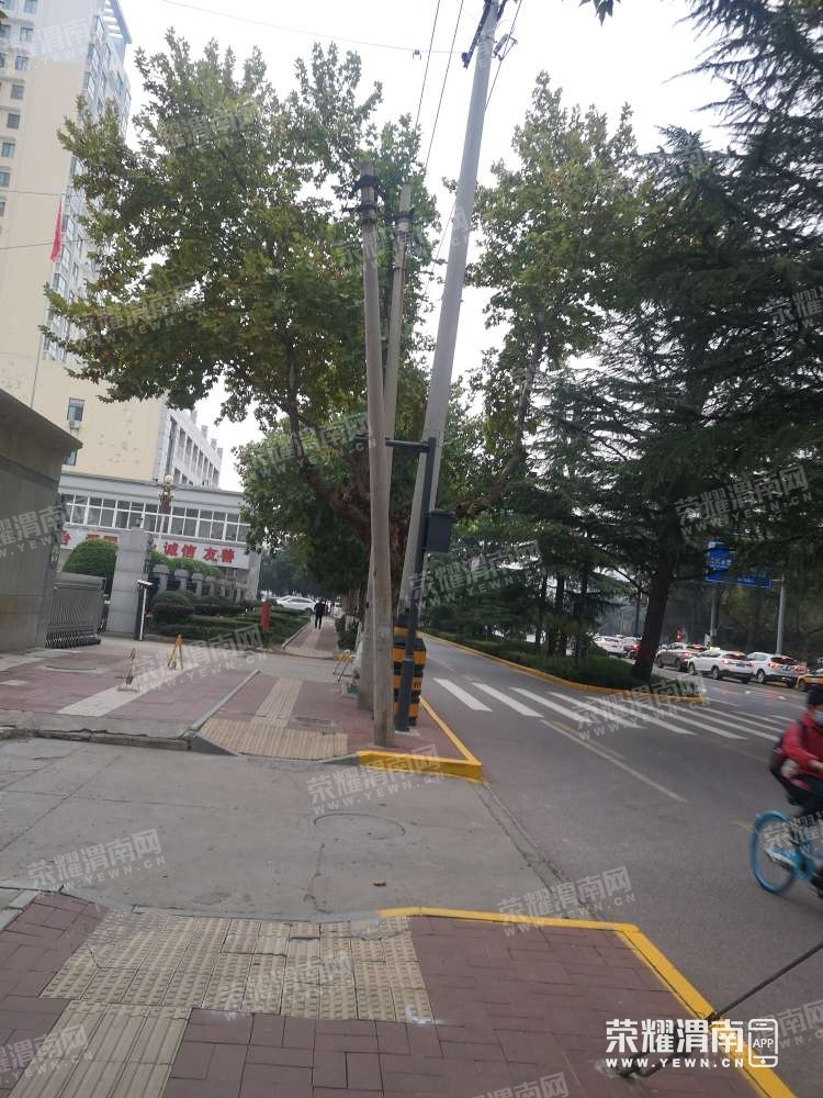 133.jpg