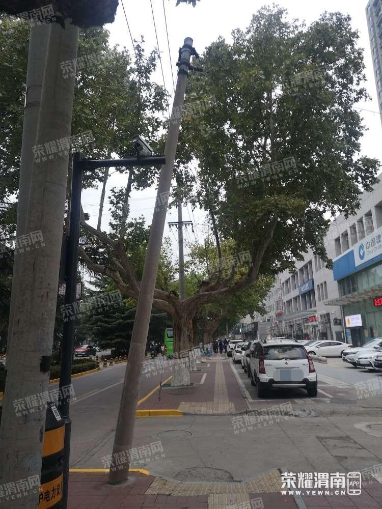 135.jpg