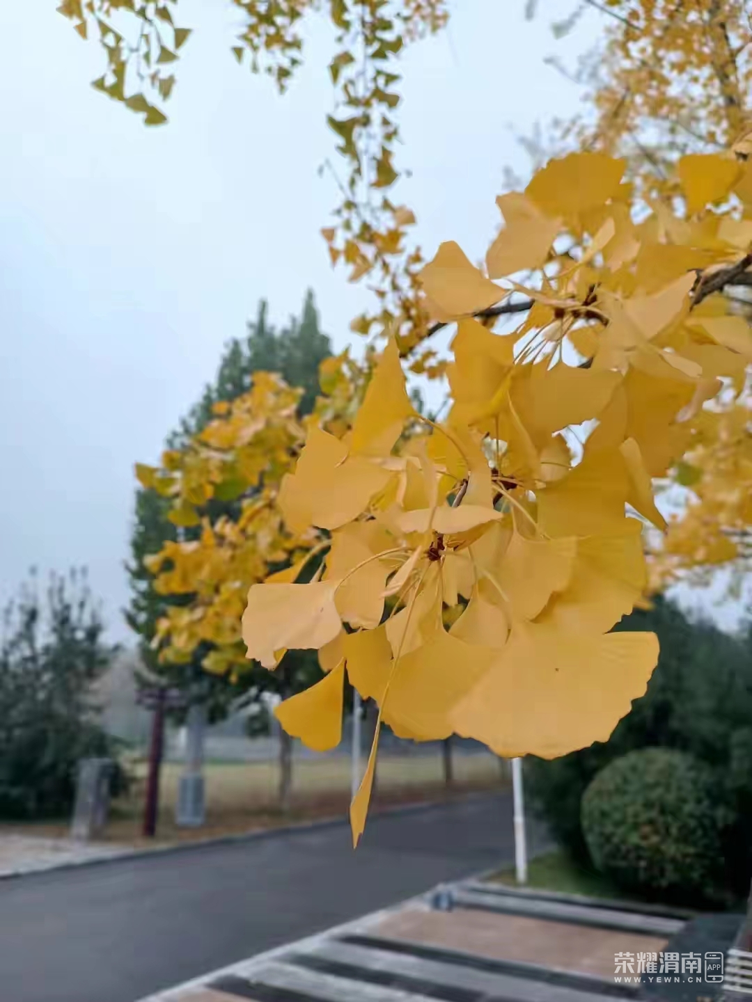 ΢��ͼƬ_20221102084752.jpg