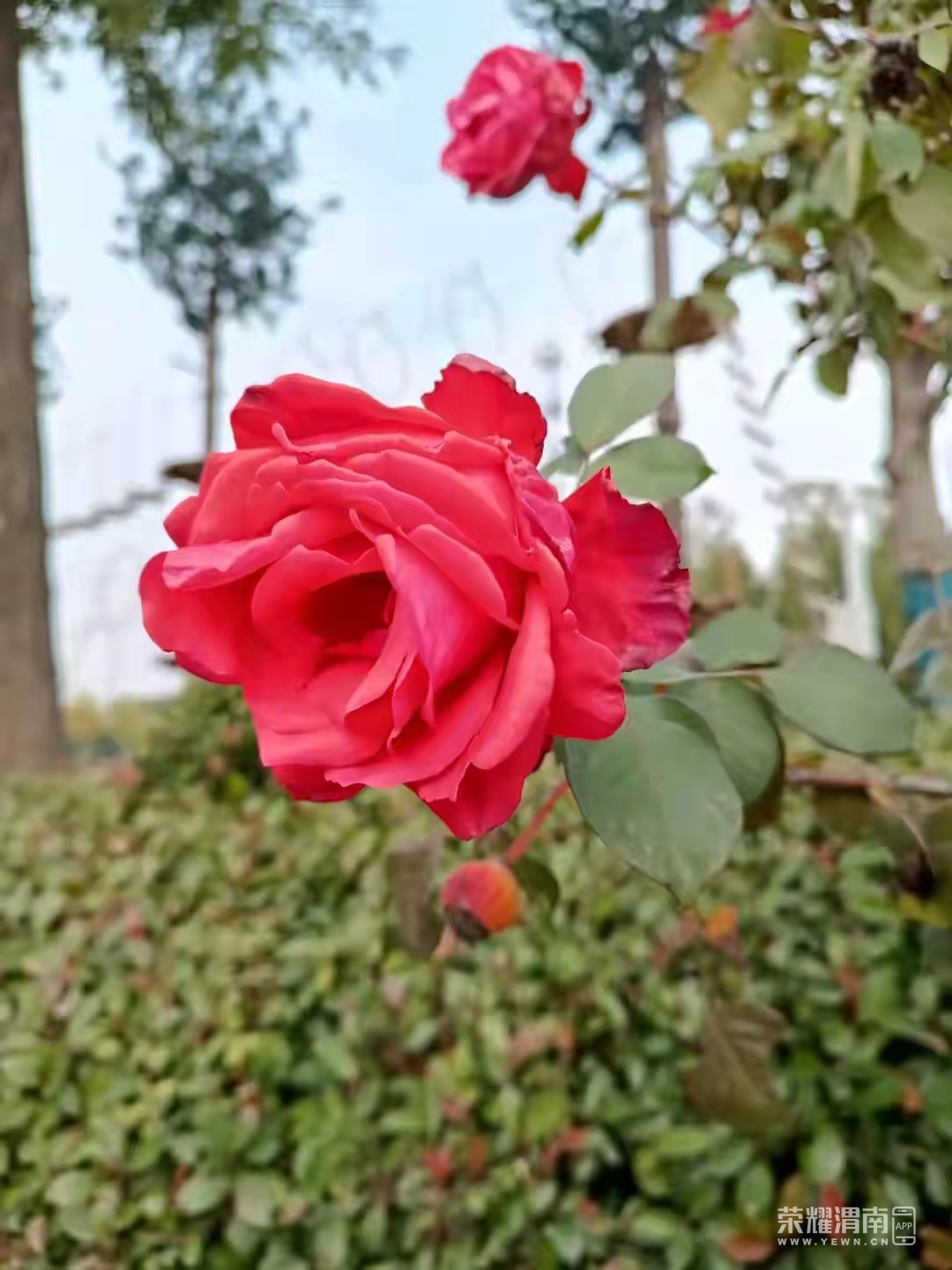 ΢��ͼƬ_20221102084759.jpg