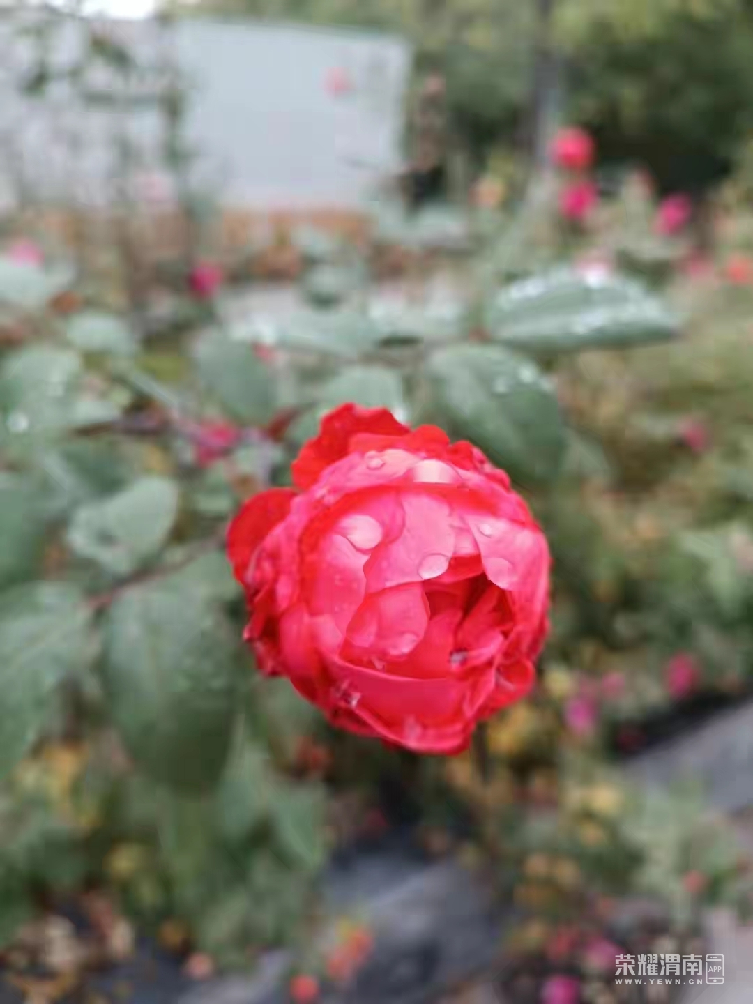 ΢��ͼƬ_20221102084756.jpg