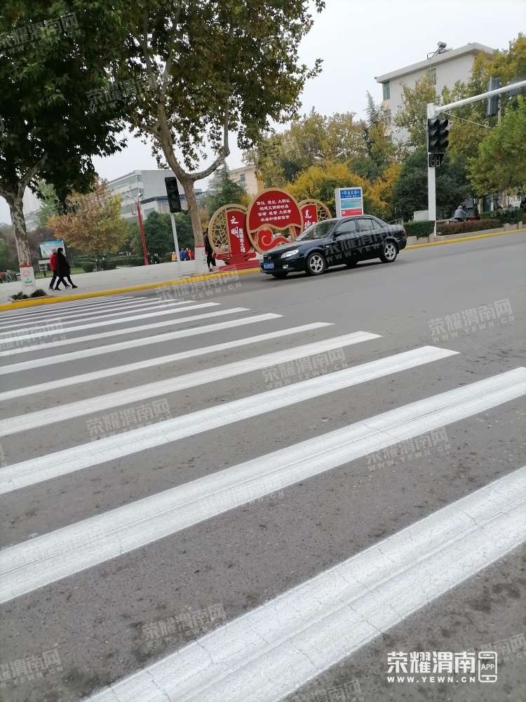 115.jpg
