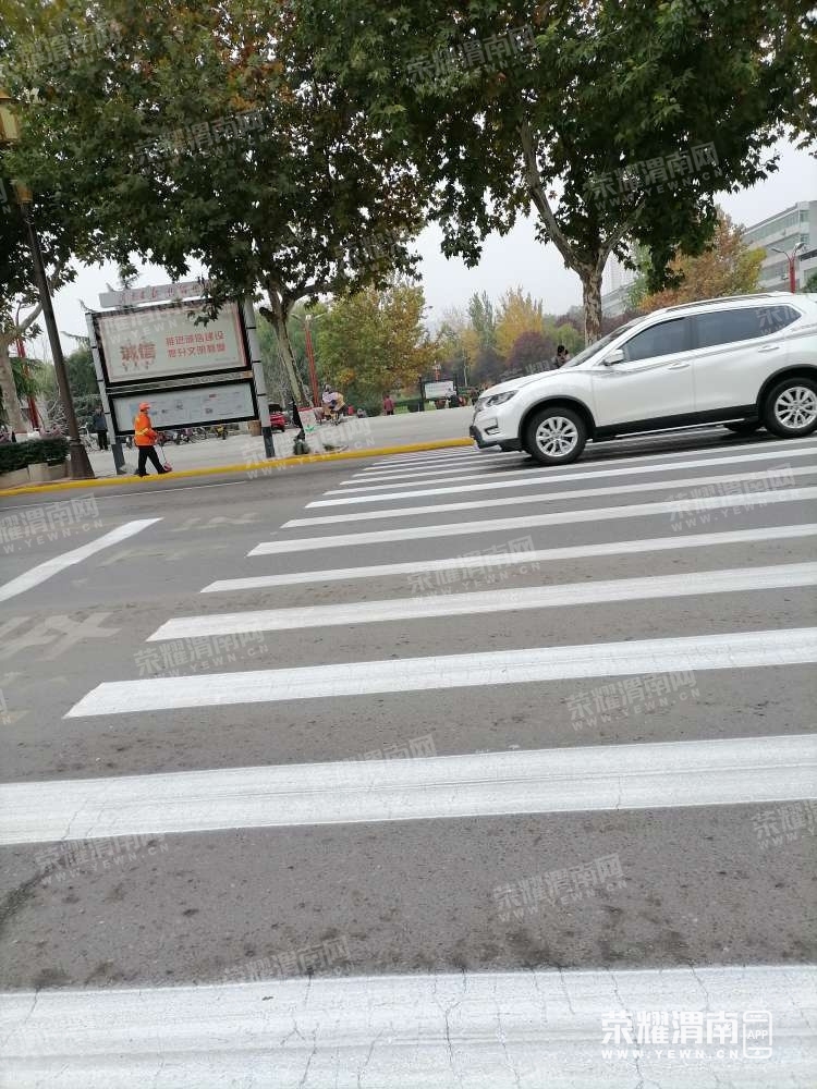 116.jpg