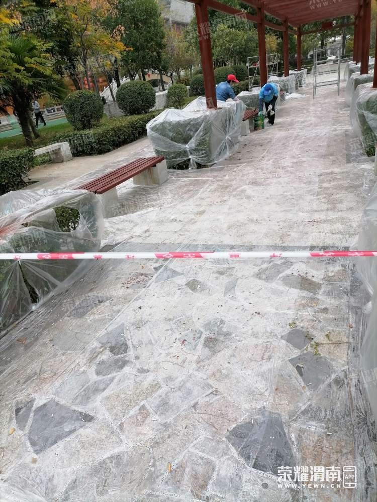 119.jpg