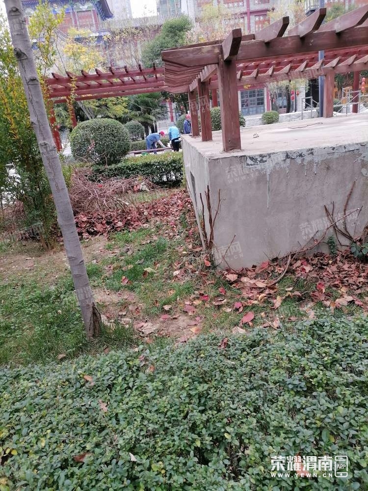122.jpg