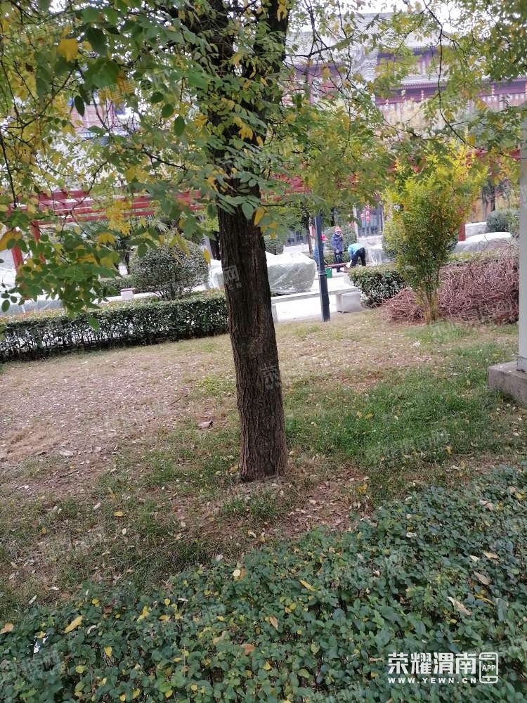 123.jpg