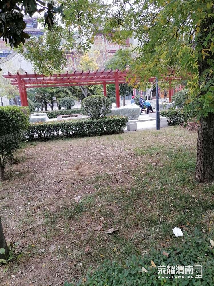 124.jpg