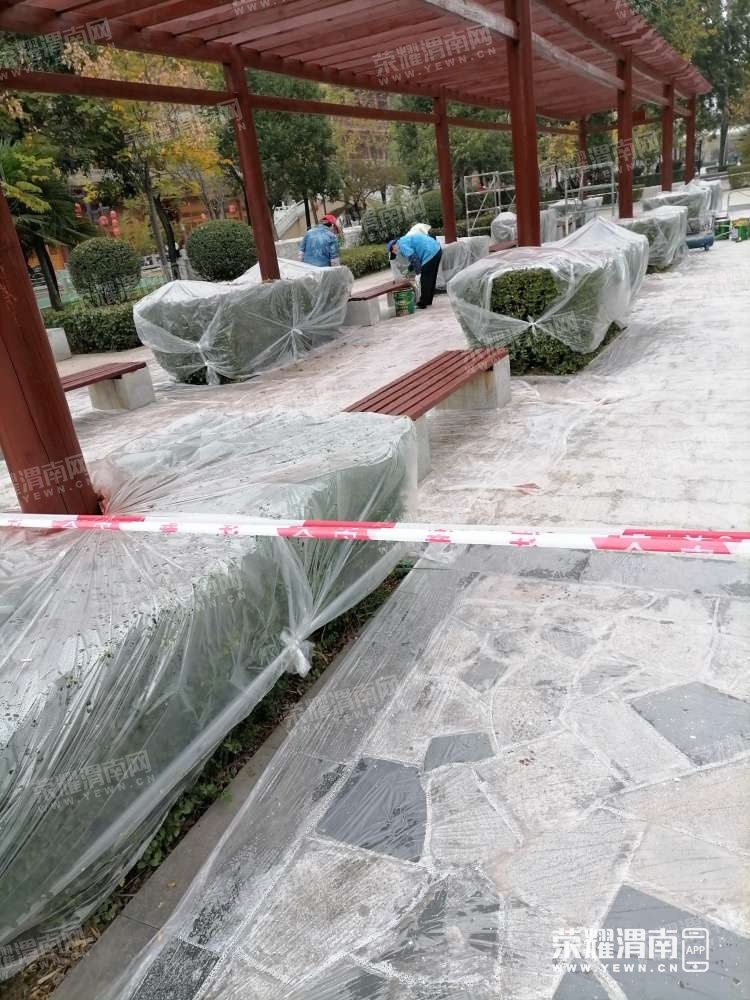126.jpg