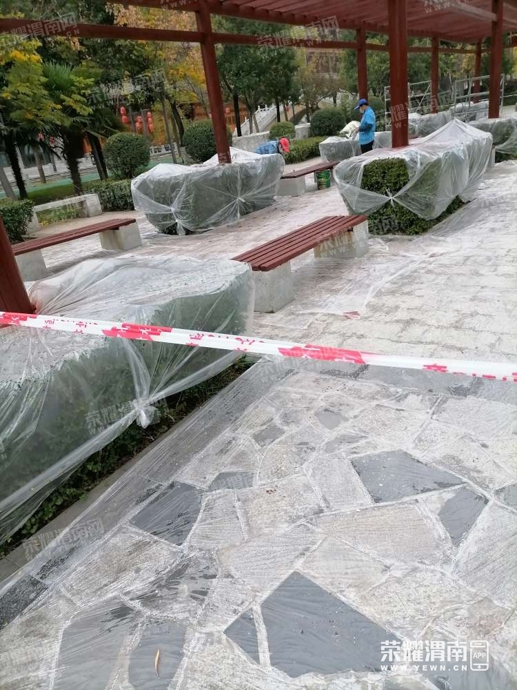 125.jpg