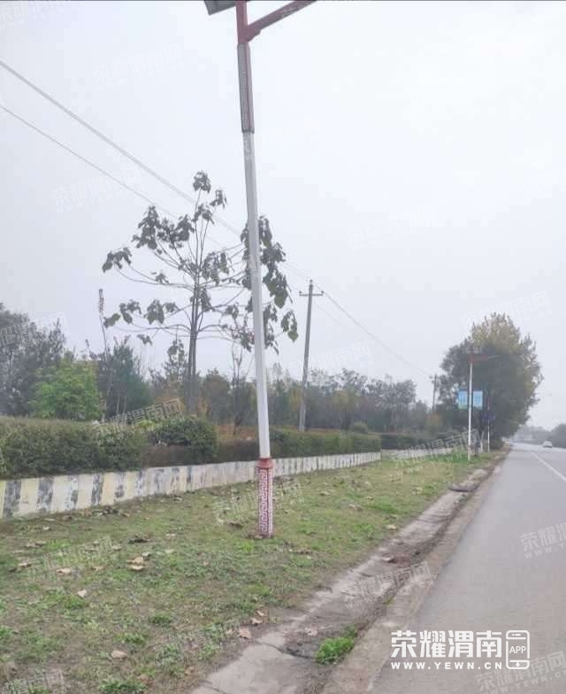 136.jpg