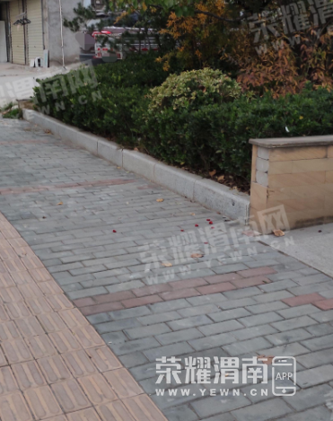 ΢�Ž�ͼ_20221105091328.png