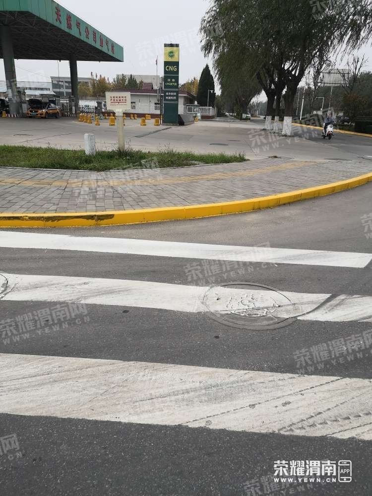 181.jpg