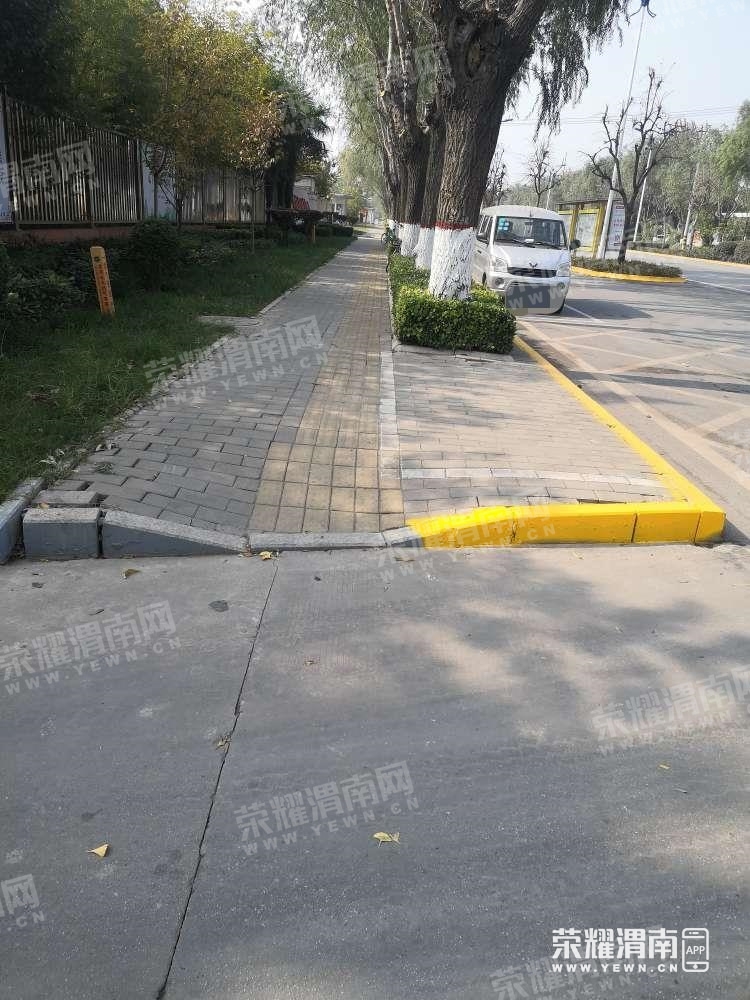 183.jpg