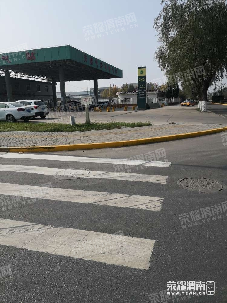 182.jpg