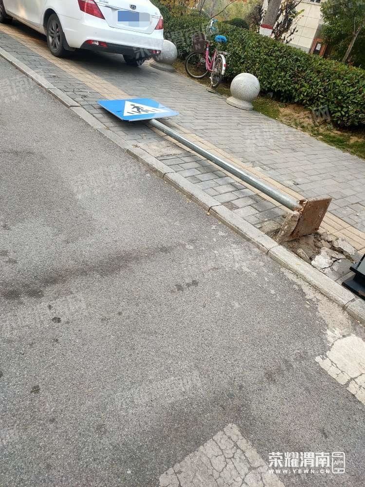 177.jpg