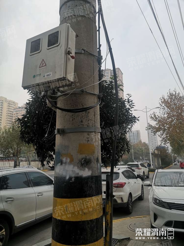 081420wnvzeu2ek63bekxx.jpg