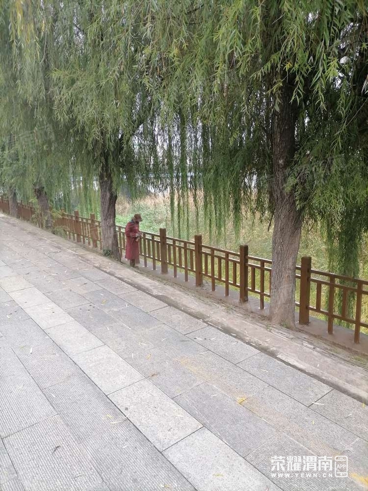 150600a4kgpaap47p2n707.jpg