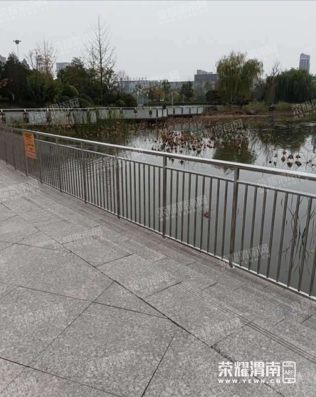 96.jpg