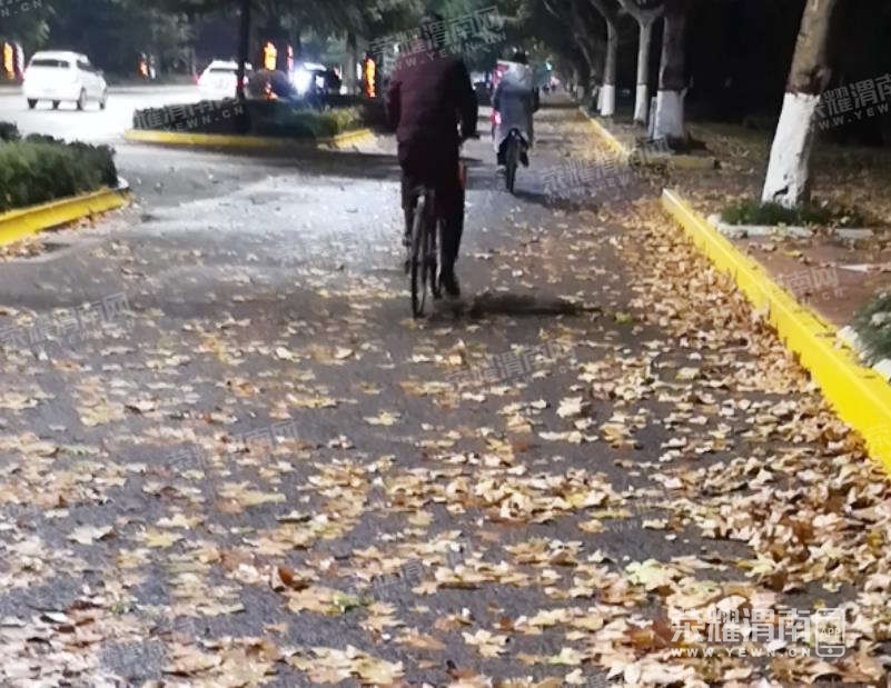 119.jpg
