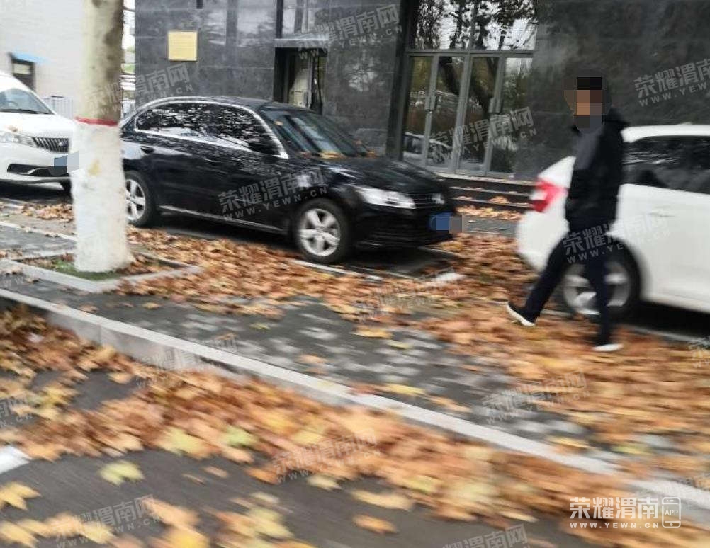 126.jpg