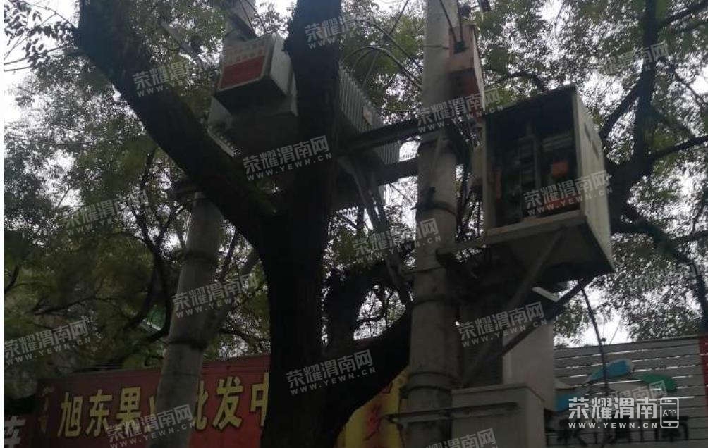 131.jpg