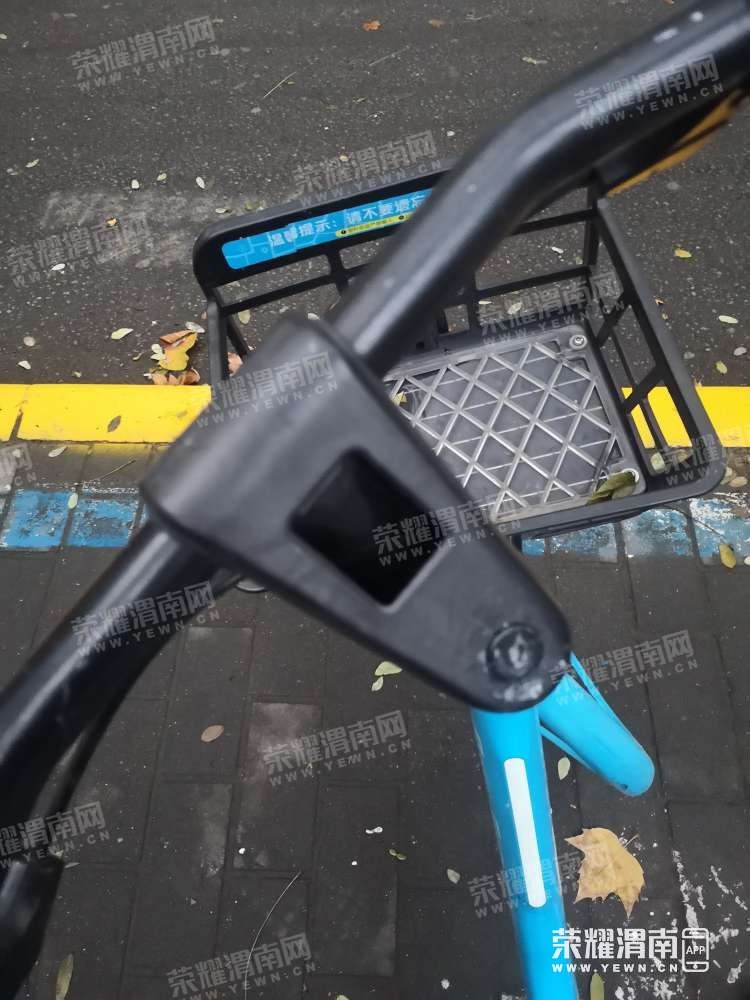 138.jpg