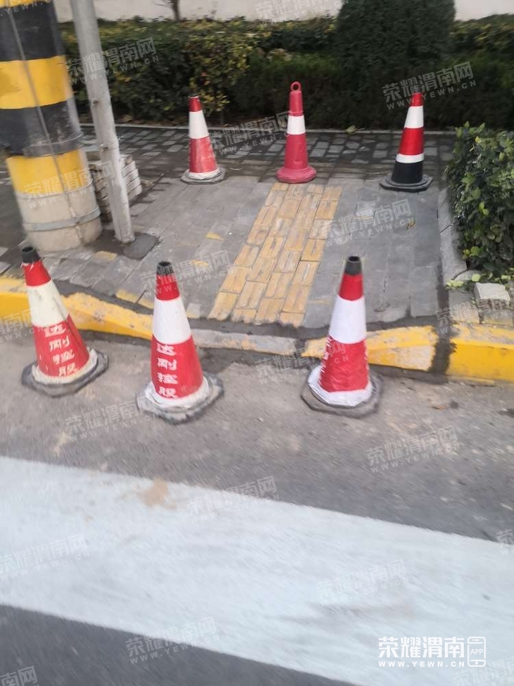 194.jpg