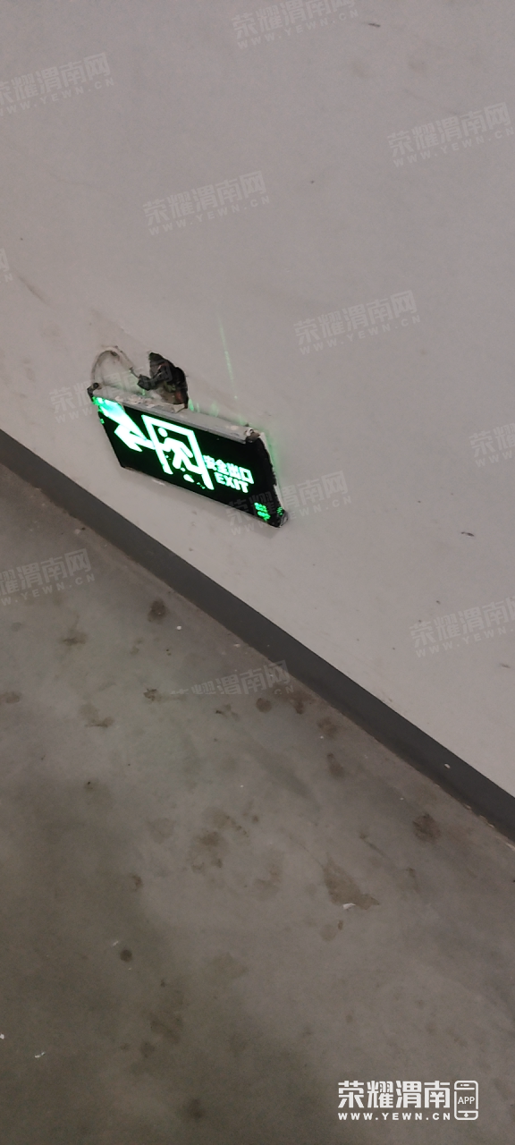 160813pl66ms1p9606sse6.png
