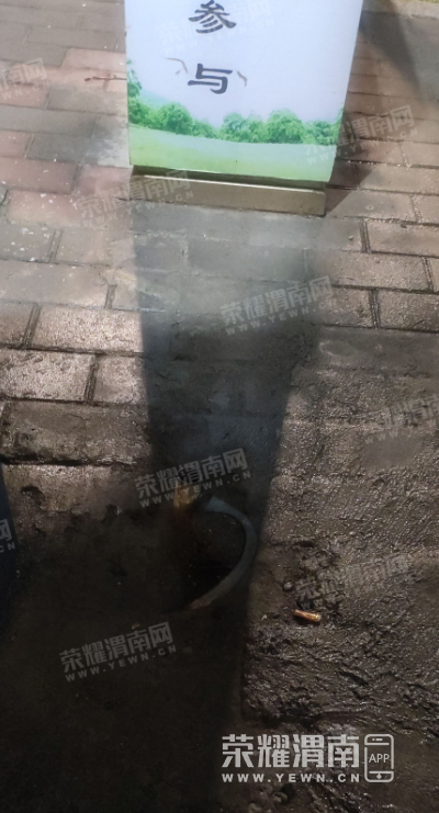 ΢�Ž�ͼ_20221115091835.png