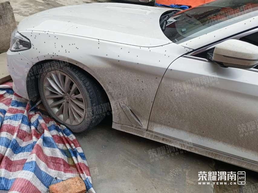 161651t86yyur88ae8878a.jpg
