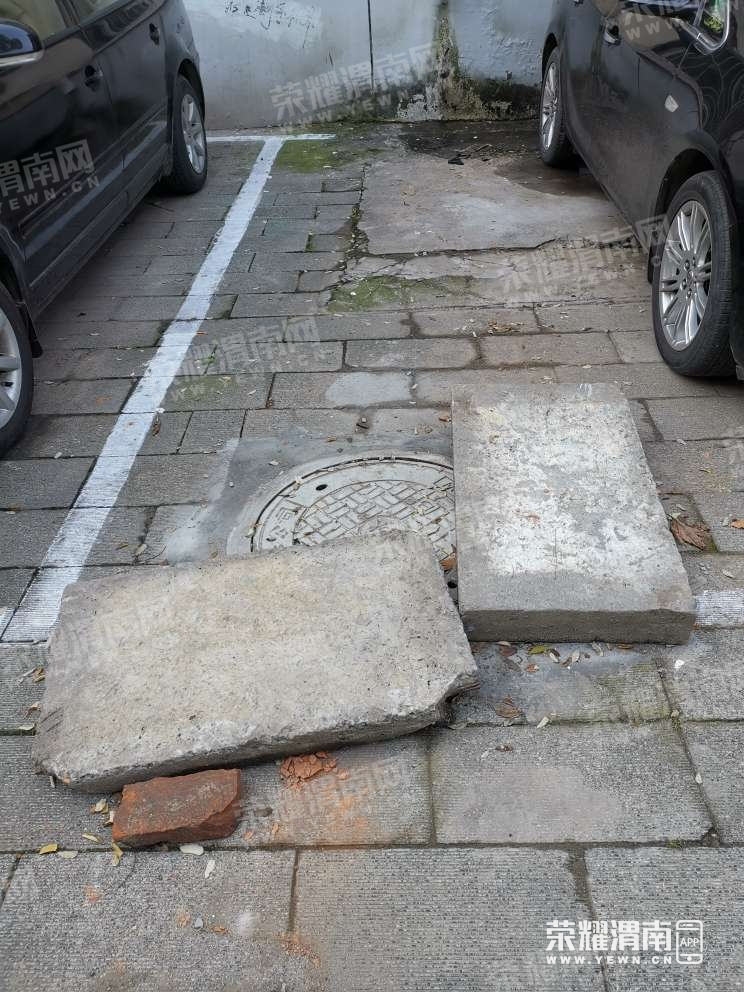83.jpg