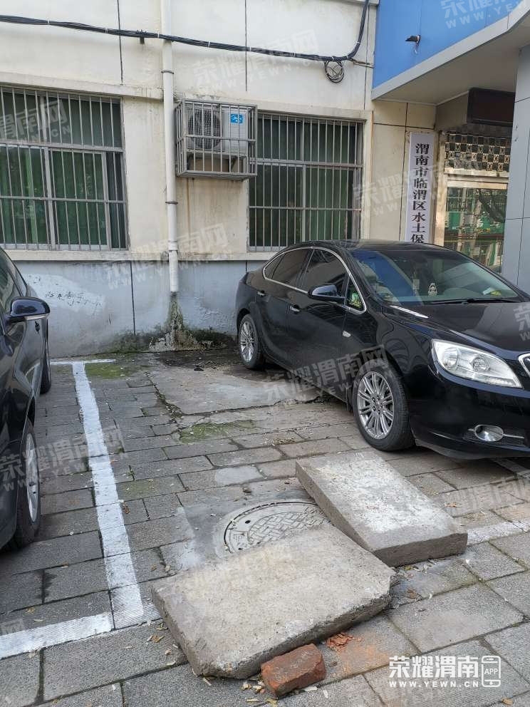 85.jpg